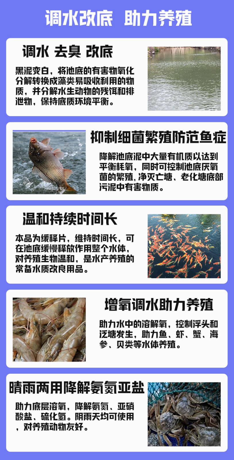 改底优势 (2).jpg